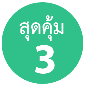 เว็บโฮสติ้ง เว็บโฮสติ้ง สำหรับองค์กร คุ้มสุดๆ ใช้งานโดเมนจำนวนมาก และอีเมล์จำนวนมาก - แนะนำ webhosting.com.co.th web hosting thailand